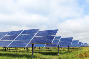Will County Land Use Committee Splits Votes on Massive Earthrise Solar Projects Amid Intense Public Opposition