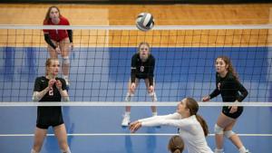 Illinois quick hits: Deer harvest totals; IHSA voting begins