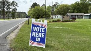 Minnesota mobile voting push stalls as session ends