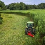 Illinois to regulate intoxicating hemp products, loosen up on cannabis