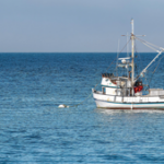 Fishermen advocate begins campaign against offshore wind, ‘industrializing’ of the ocean