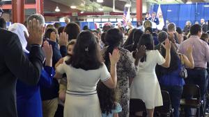Ongoing border enforcement: Revocation of citizenship of convicted criminals
