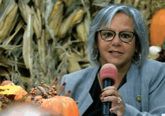 Democratic candidates focus on national politics in campaign for U.S. Senate