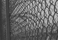 Routh, representing himself, begins picking Florida jury Monday