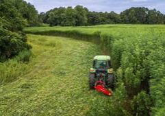 Chicago aldermen advance ordinance to restrict hemp sales