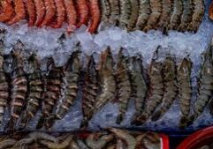 House Farm Bill includes new seafood office, shrimp trade study