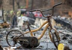 Fires, unrest, lawsuits, politics dominate Southwest in 2025