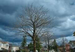 Illinois Quick Hits: Surveys continue after tornadoes, severe weather