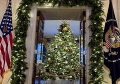 Michigan farms supply Christmas trees nationwide, including to the White House