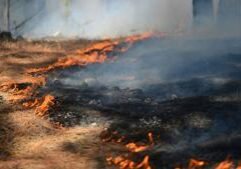 Minnesota wildfires prompt burning restrictions as air quality improves
