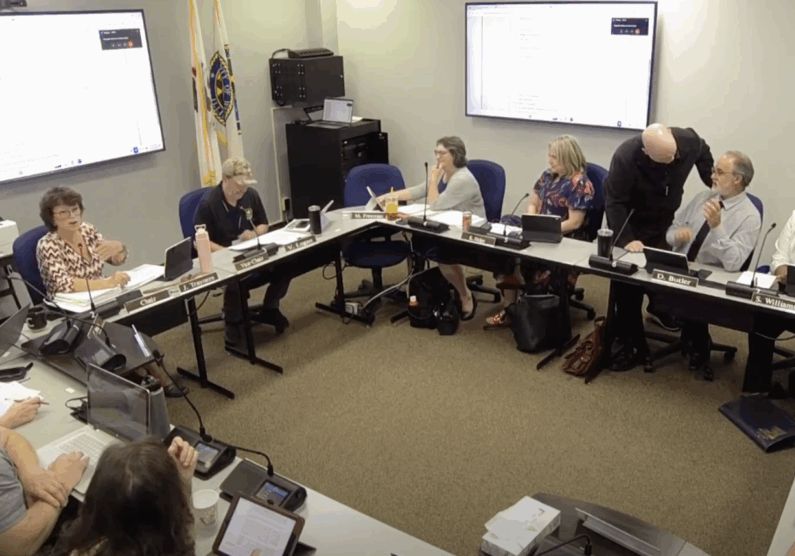 Will-County-Ad-Hoc-Ordinance-Review-Committee-Meeting-June-10-2025